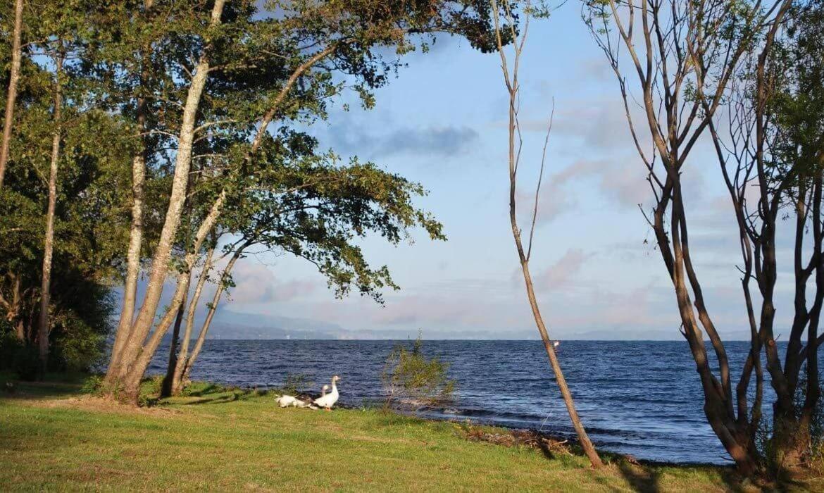 Parque Pinares Maravilloso Bosque Playa Nieve Muelle Privado *